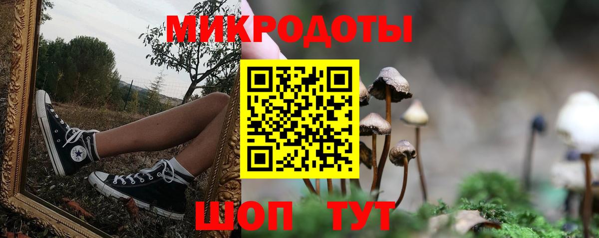 Псилоцибиновые грибы прущие грибы Среднеуральск